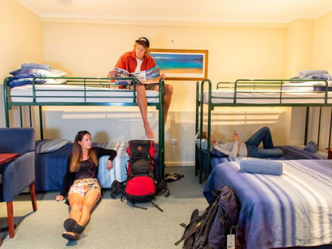 Adventure Backpackers - Accommodation Brisbane 3