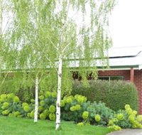 Birralee Cottage - Accommodation Brisbane