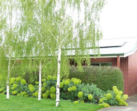 Birralee Cottage - Accommodation Brisbane 0