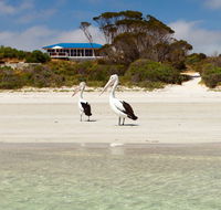 Kangaroo Island Star Beach House - Accommodation Brisbane