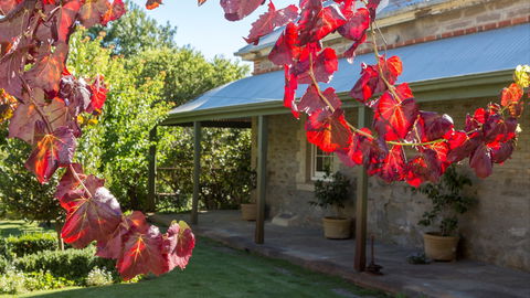 Grand Cru Estate Homestead - Accommodation Brisbane 0