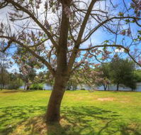 Breakaway Twin Rivers Caravan Park - Accommodation Brisbane