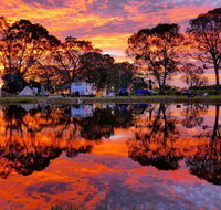 Coonawarra Bush Holiday Park - Accommodation Brisbane