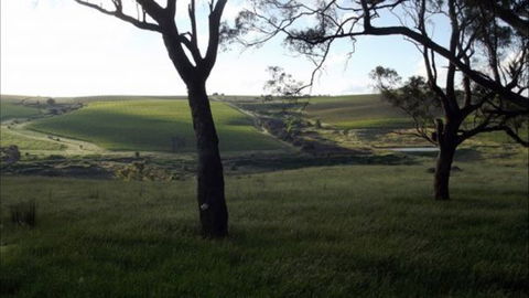 Dragonfly Cottages - Accommodation Brisbane 2