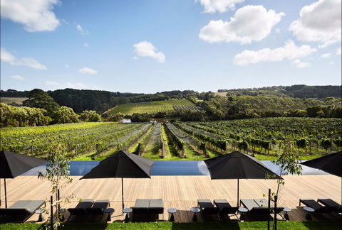 Jackalope Mornington Peninsula - Accommodation Brisbane 4