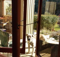 Mara Ponds Branxholm - Accommodation Brisbane