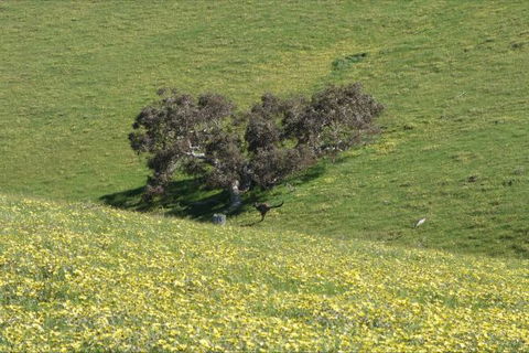 Morella Farm Stay - Accommodation Brisbane 9