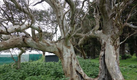 Morella Farm Stay - Accommodation Brisbane 10