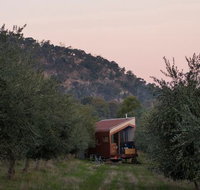 Shacky in the Olive Grove - Accommodation Brisbane
