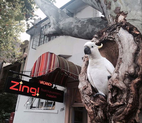 Zing! Backpackers Hostel - Accommodation Brisbane 0
