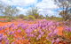 Murchison Oasis Roadhouse, Motel, Caravan Park - thumb 1