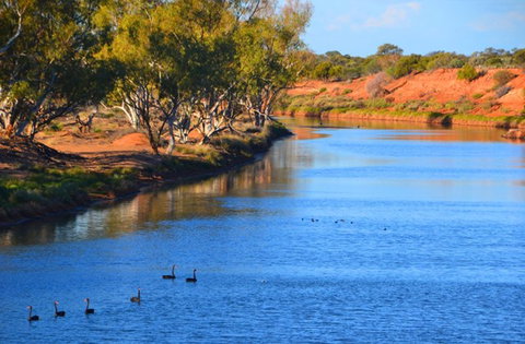 Murchison Oasis Roadhouse, Motel, Caravan Park - Accommodation Brisbane 2