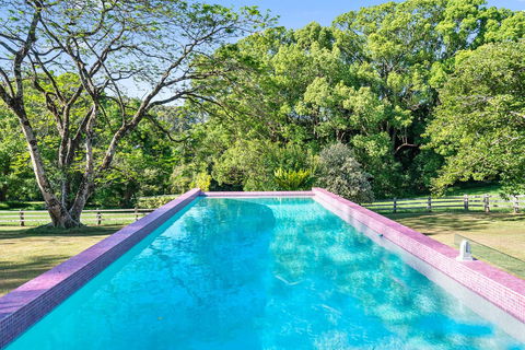 Bellbird - Accommodation Brisbane 1