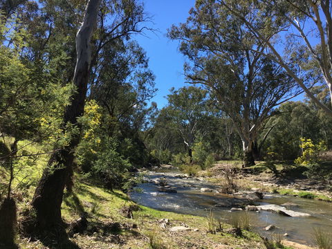 Highfield Farm And Woodland Bush Campsites - Accommodation Brisbane 0