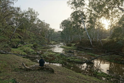 Highfield Farm And Woodland Bush Campsites - Accommodation Brisbane 2