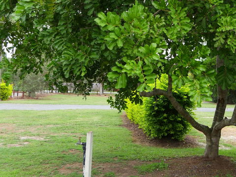 Secura Lifestyle North Gold Coast - Accommodation Brisbane 8