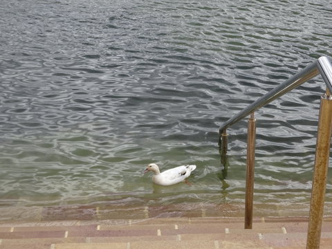 Studio At Careel Bay - Accommodation Brisbane 6