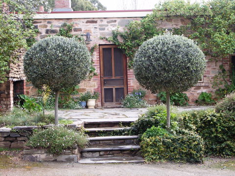 The Heritage Garden - Accommodation Brisbane 0