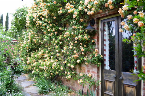 The Heritage Garden - Accommodation Brisbane 3