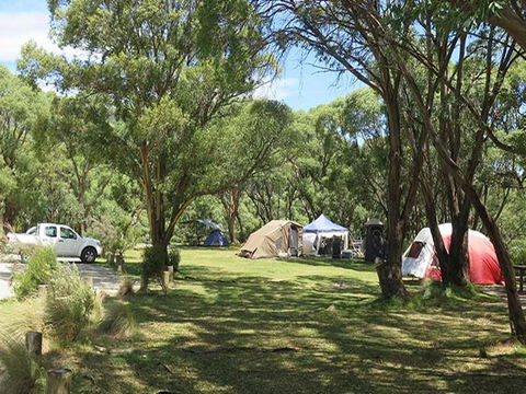 Thredbo Diggings Campground - Accommodation Brisbane 2