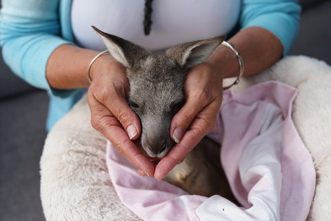 Tiandi Wildlife Sanctuary Farm Stay - Jambalaya Cottage - Accommodation Brisbane 7