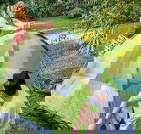 Warrabah campground and picnic area - Accommodation Brisbane