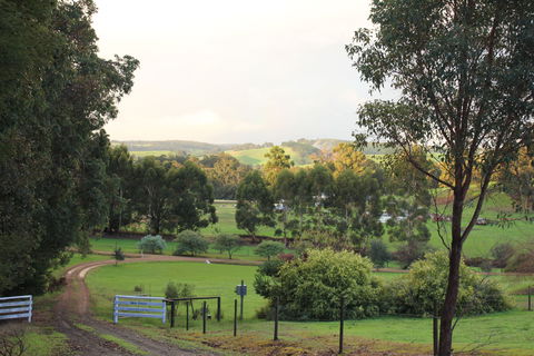 Blue House Bed And Breakfast - Accommodation Brisbane 2