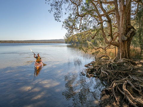 Bungarie Bay Campground - Accommodation Brisbane 3