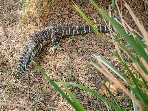 Bungarie Bay Campground - Accommodation Brisbane 6