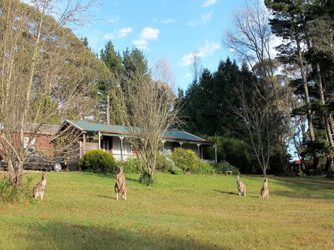 Cedar Lodge Cabins - Accommodation Brisbane 0