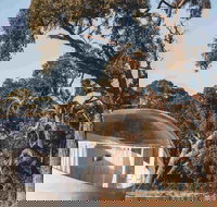 Coonawarra Bubble Tents - Accommodation Brisbane