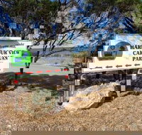 Cowell Harbor View Caravan Park - Accommodation Brisbane