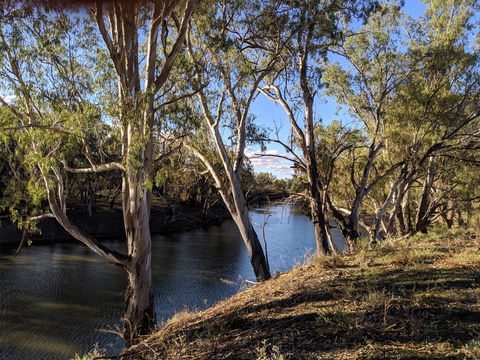 Four Mile Camping Reserve - Accommodation Brisbane 2