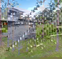 Gold Coast Tree Houses - Accommodation Brisbane