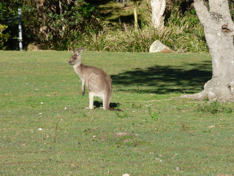 Little Bay Cottage - Accommodation Brisbane 2