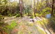 Mackaway Bay Campground - thumb 0