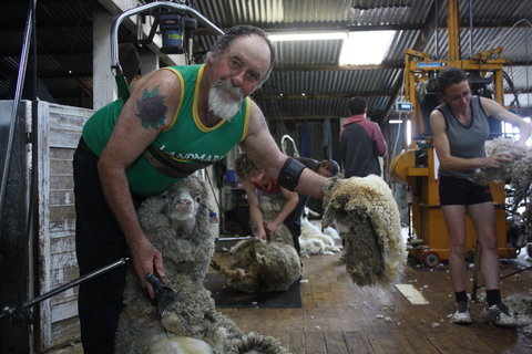 Rabbiters Hut - Accommodation Brisbane 5