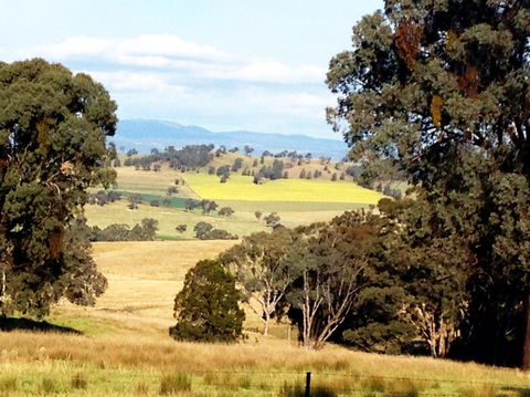 The Rockies At Orange - Accommodation Brisbane 1