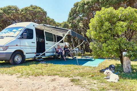 Anglesea Family Caravan Park - Accommodation Brisbane 2