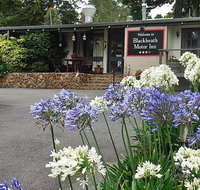 Blackheath Motor Inn - Accommodation Brisbane
