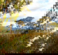 Buttongrass Retreat - Accommodation Brisbane