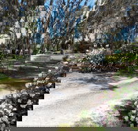 Camawald Coonawarra Cottage BB - Accommodation Brisbane