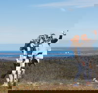 Cowell RV Park - Accommodation Brisbane