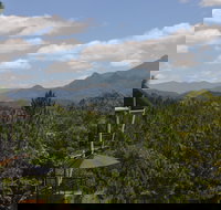 Ecoasis - Accommodation Brisbane