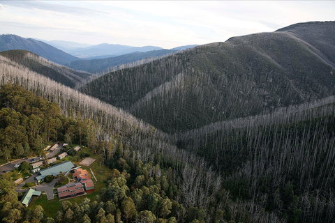 Howmans Gap Alpine Centre YMCA - Accommodation Brisbane 0