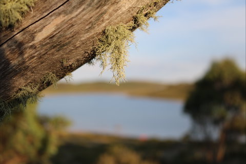 Howmans Gap Alpine Centre YMCA - Accommodation Brisbane 2