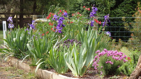 Karoola Cottage - Accommodation Brisbane 1