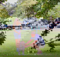 Kirra Beach Tourist Park - Accommodation Brisbane