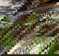 Melaleuca Surfside Backpackers - Accommodation Brisbane