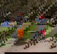 Ngarigo campground - Accommodation Brisbane
